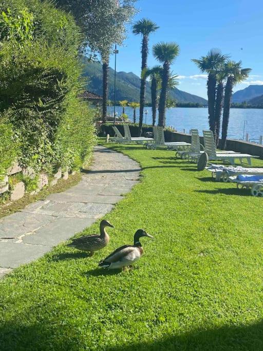 Holiday On The Lake Lugano 2-16 Bissone Extérieur photo